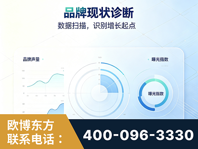 怀仁-品牌现状诊断