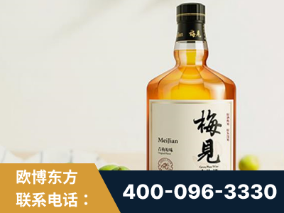 怀仁-梅见青梅酒